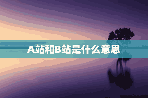 A站和B站是什么意思(a站和b站是什么意思区别)